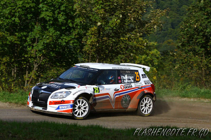rallye de france wrc 178 copie.jpg